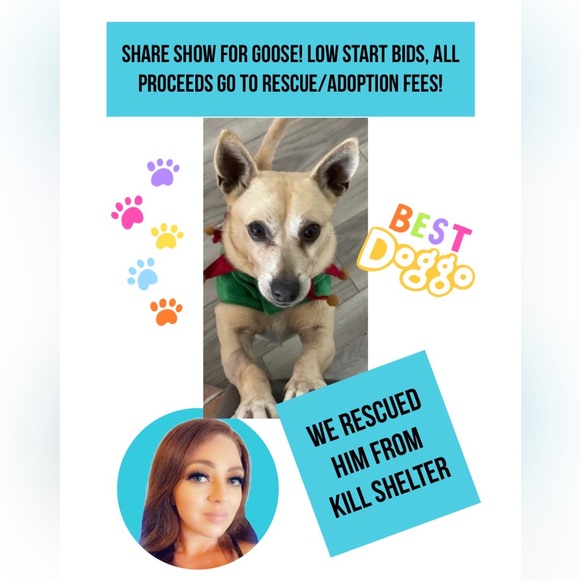 Show tonight 6:16 PST ✨Anna is LIVE!!✨ Like this listing to be notified 🩵 - Picture 10 of 10